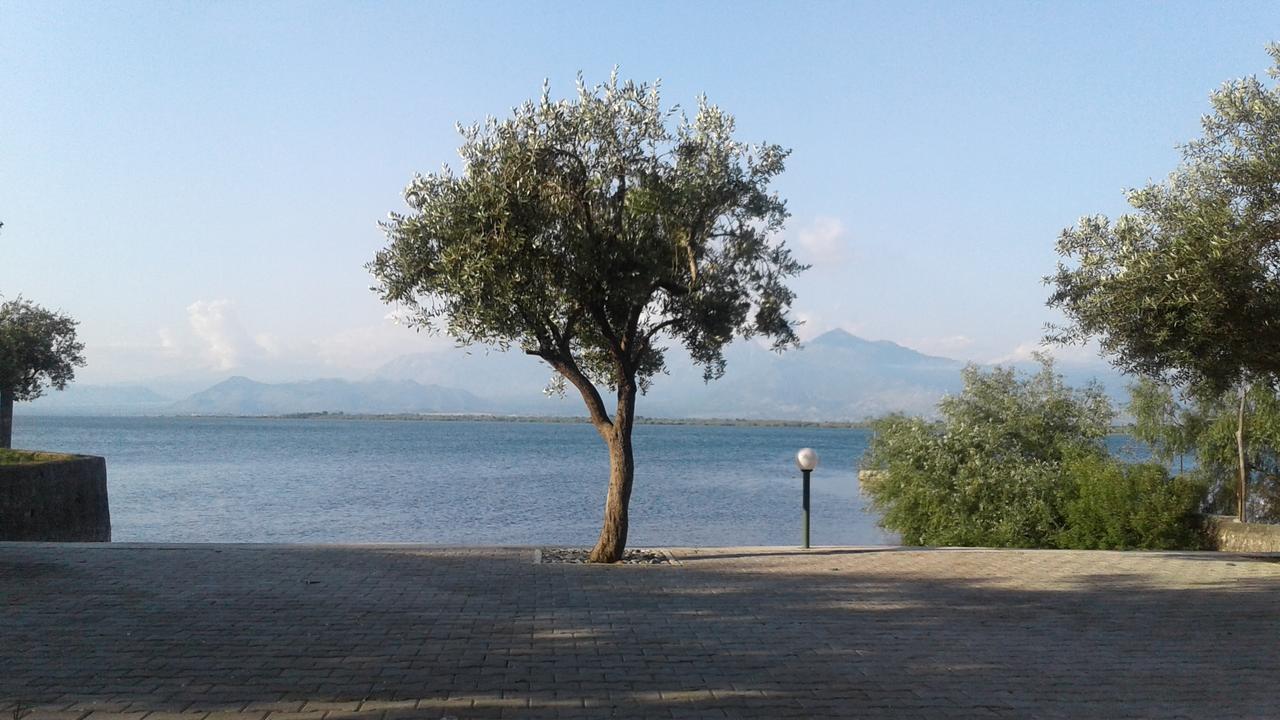 Široka Hotel Shkodra Lake المظهر الخارجي الصورة
