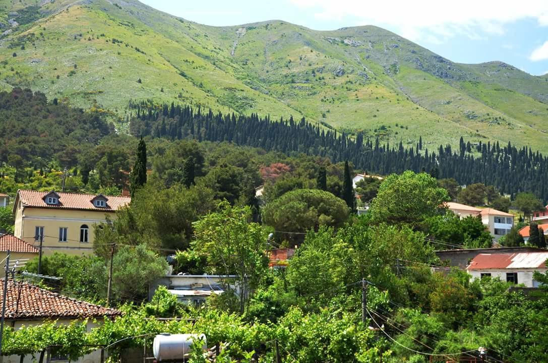 Široka Hotel Shkodra Lake المظهر الخارجي الصورة